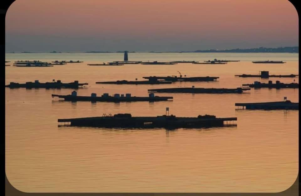 Pretty Progreso Sanxenxo